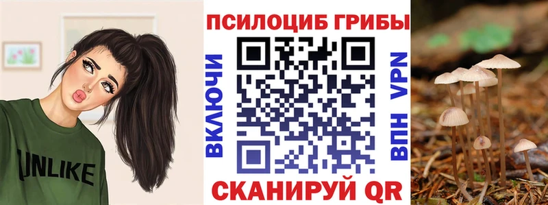 Купить где  Весьегонск  Псилоцибиновые грибы Psilocybe 
